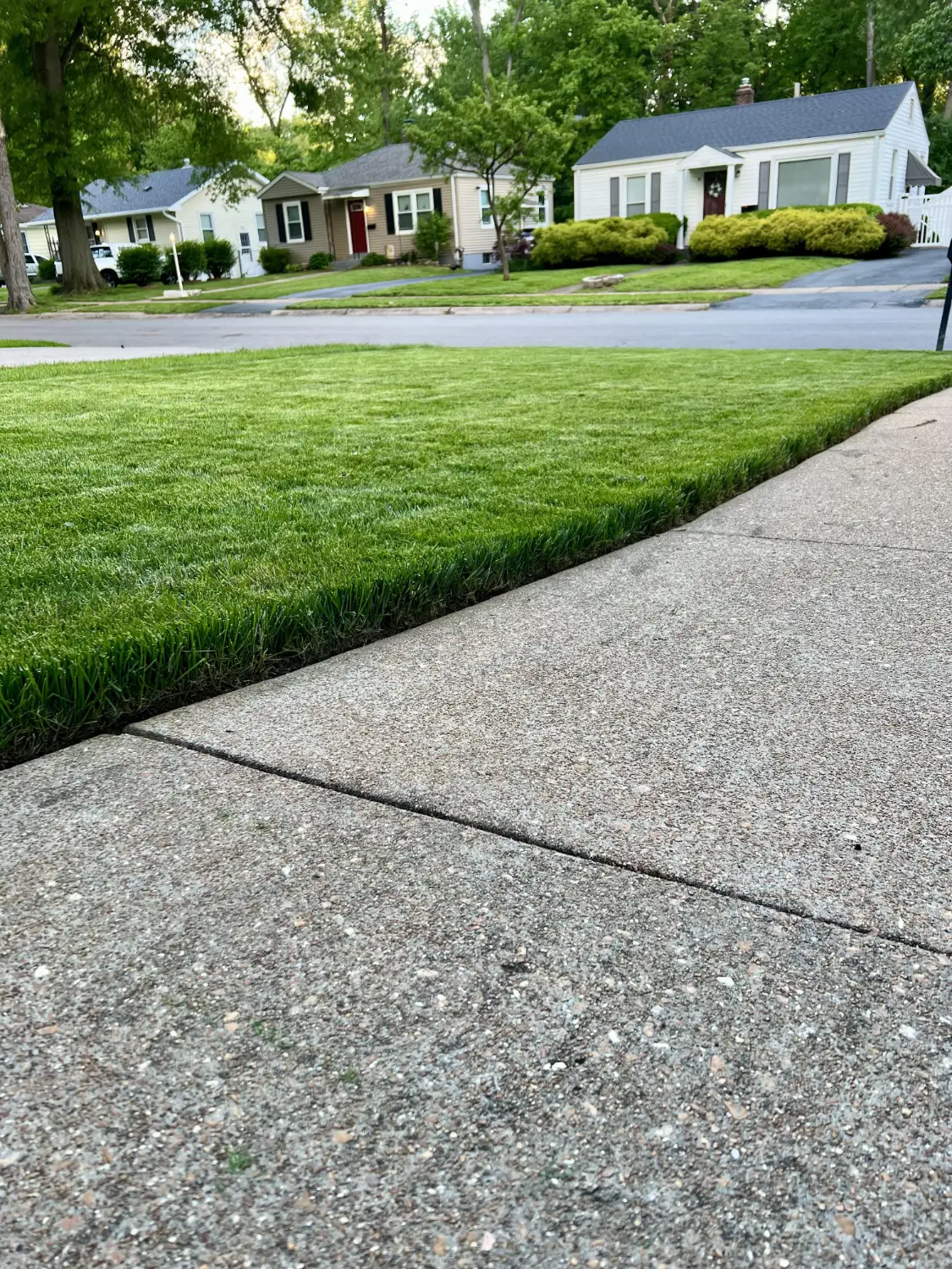 Crisp, neatly edged lawn along a concrete footpath