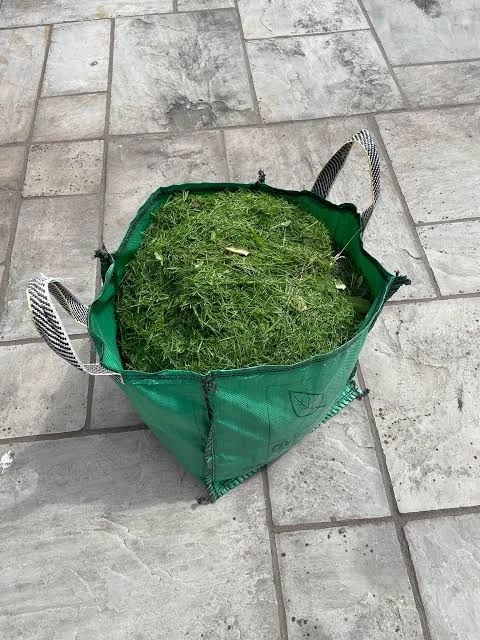 Green waste bag full of grass clippings